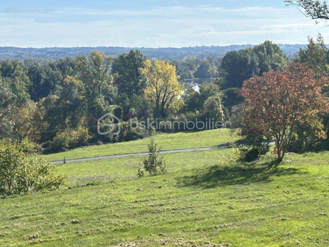 Château et sa maison de gardien - vue -terrain - piscine - dépendances - photo 3