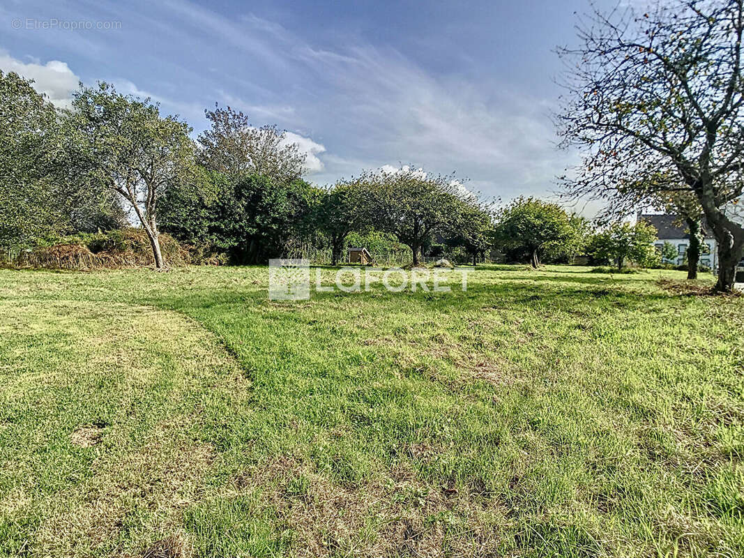 Terrain à LA FORET-FOUESNANT