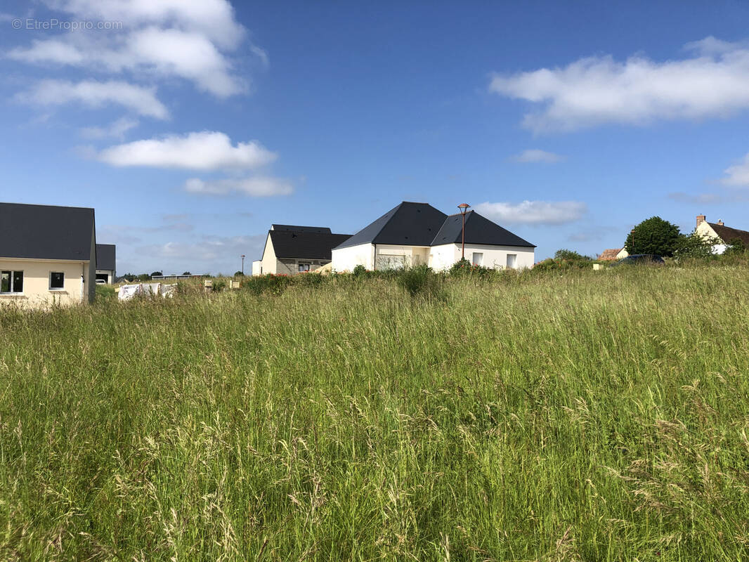 Terrain à AZAY-SUR-CHER