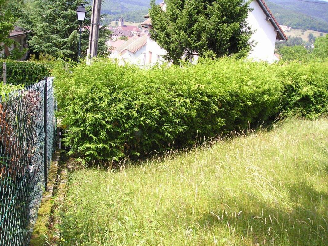 Terrain à bâtir hauteurs de MASEVAUX 49 000 € - photo 2
