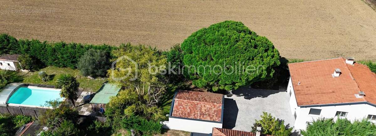 Maison à QUINT-FONSEGRIVES