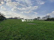 Terrain à CRASVILLE