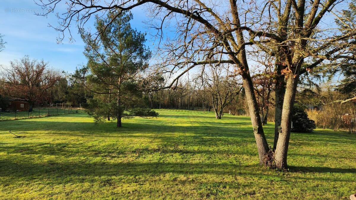 Terrain à MOISSON