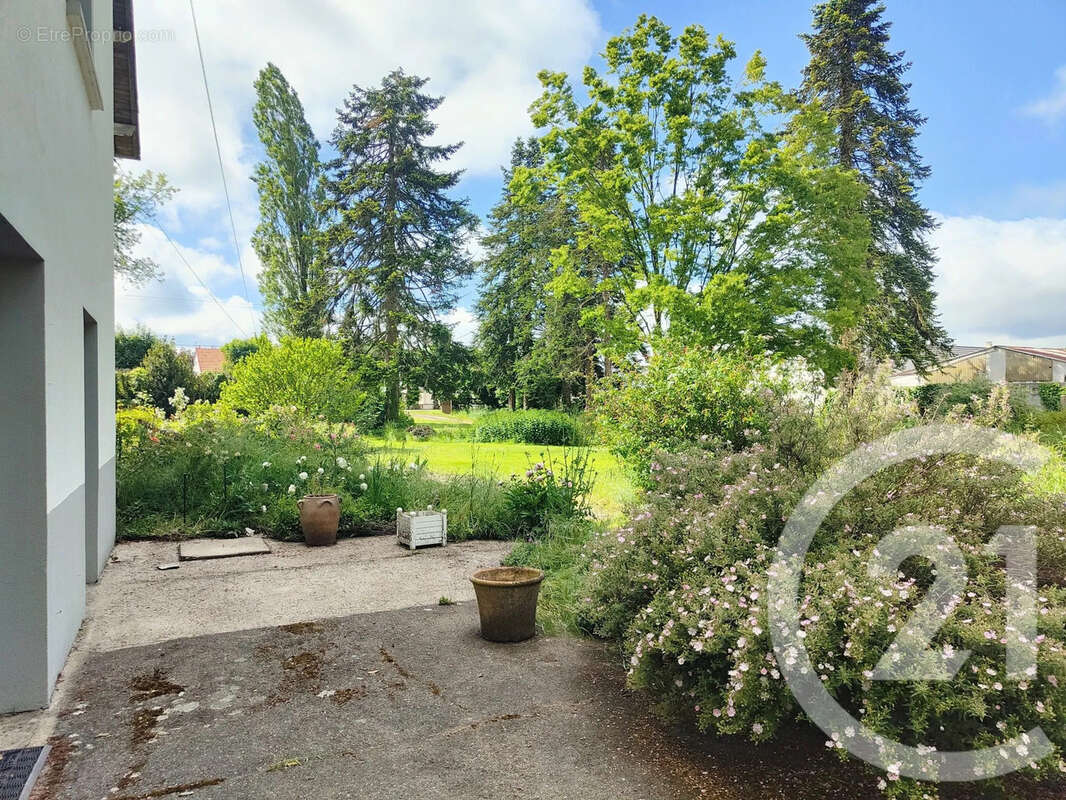 Maison 214 m² à La Chapelle-Montlinard  - photo 11
