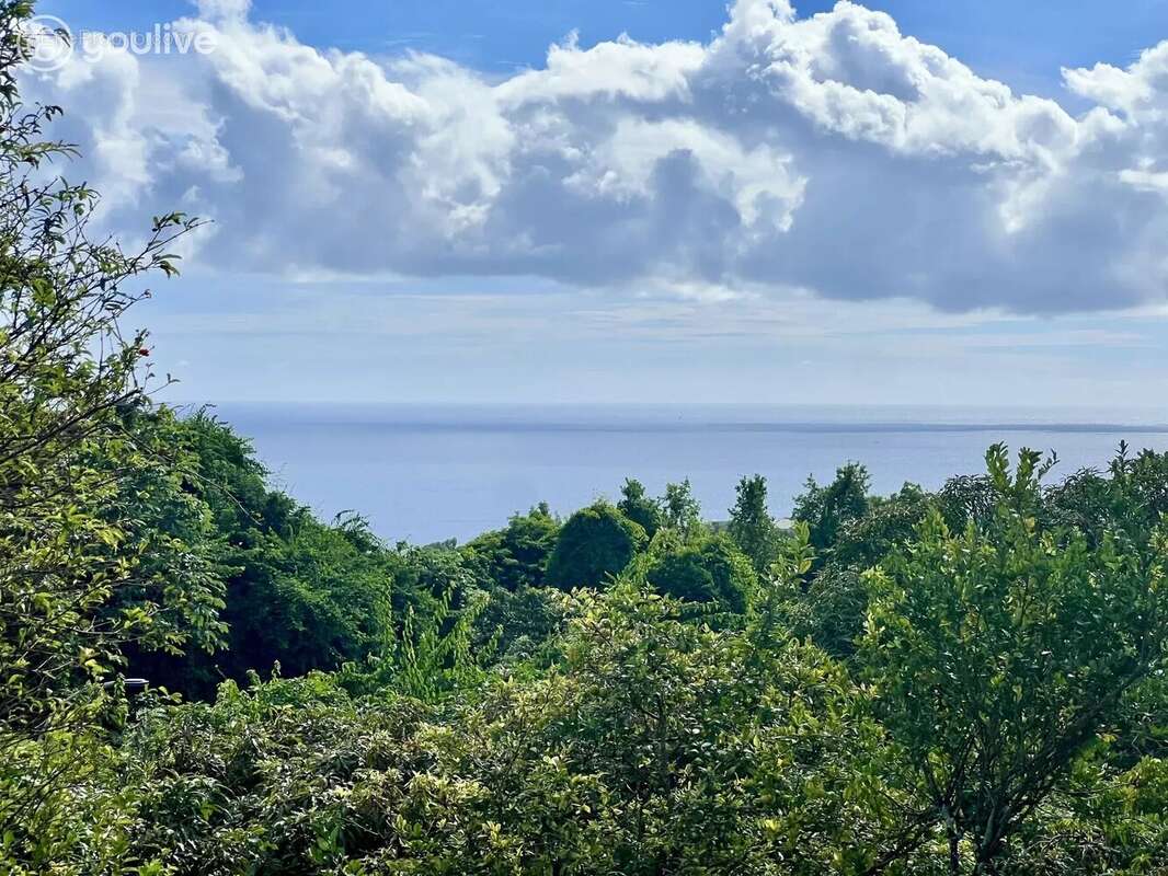 Maison à SCHOELCHER