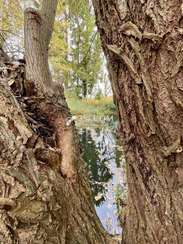 Terrain à PLOBSHEIM