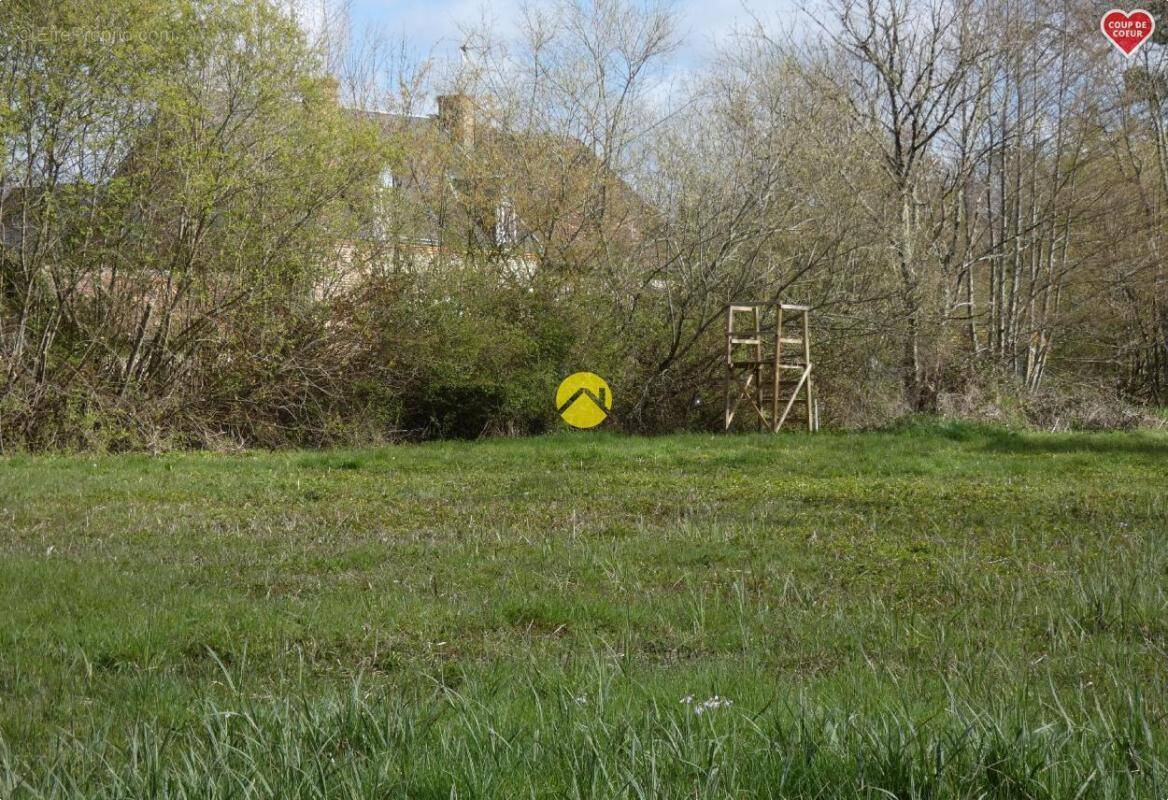 Maison à ARGENT-SUR-SAULDRE