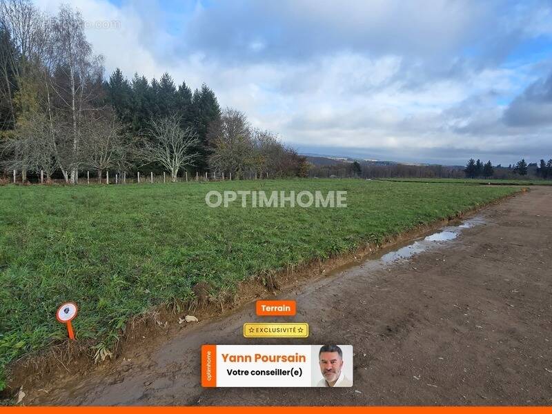 Terrain à LE PALAIS-SUR-VIENNE