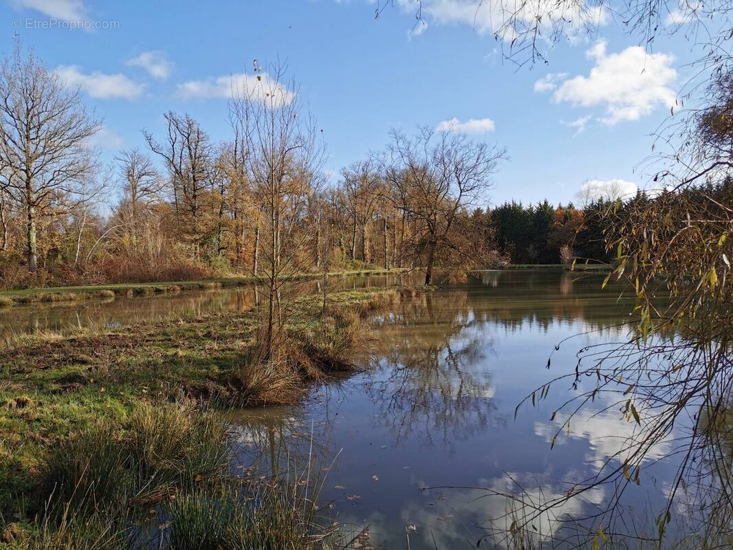 Terrain à DINGE