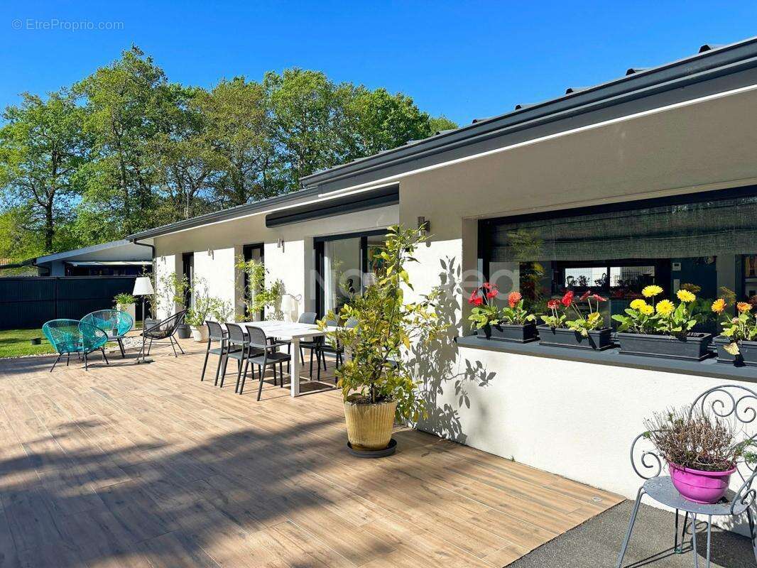 Maison à BENESSE-MAREMNE