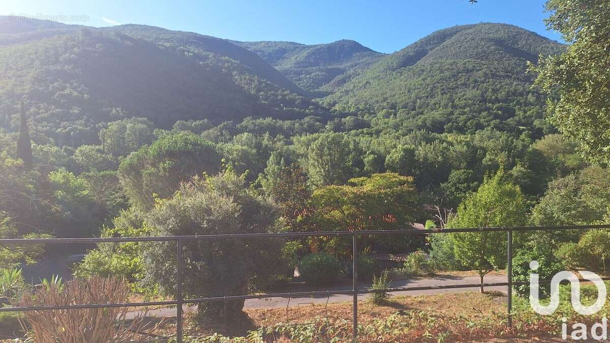 Photo 8 - Maison à ARLES-SUR-TECH