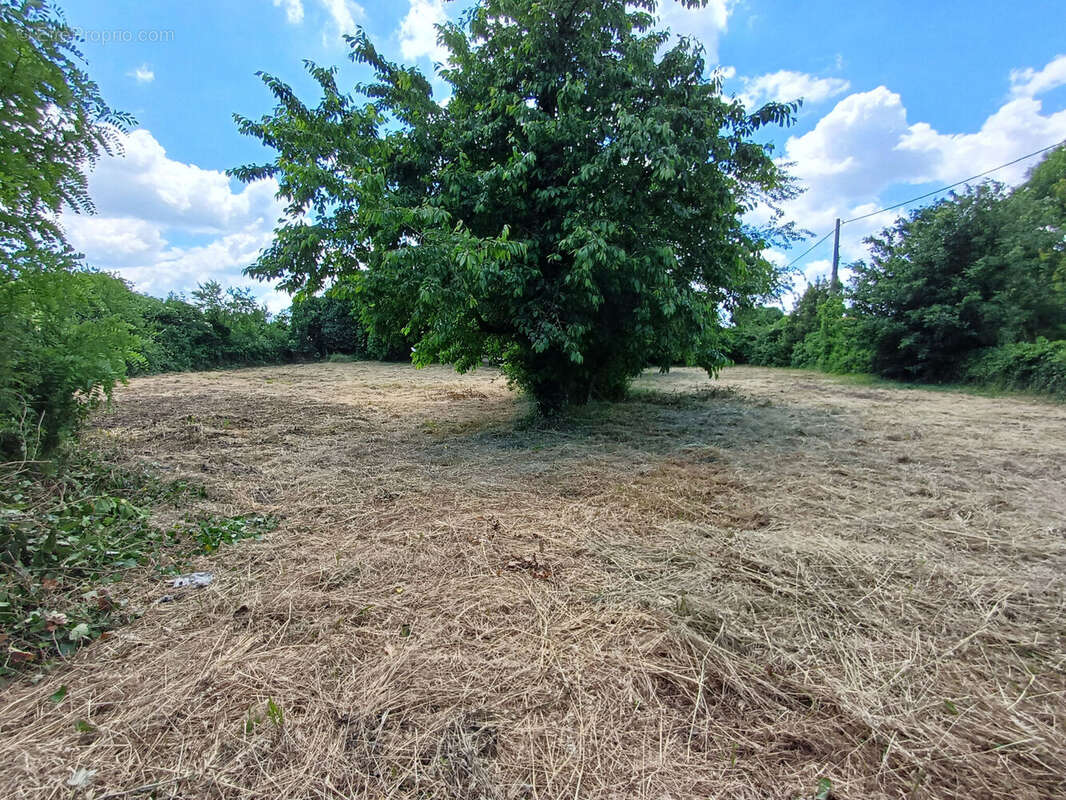 Photo 4 - Terrain à MOUZEUIL-SAINT-MARTIN