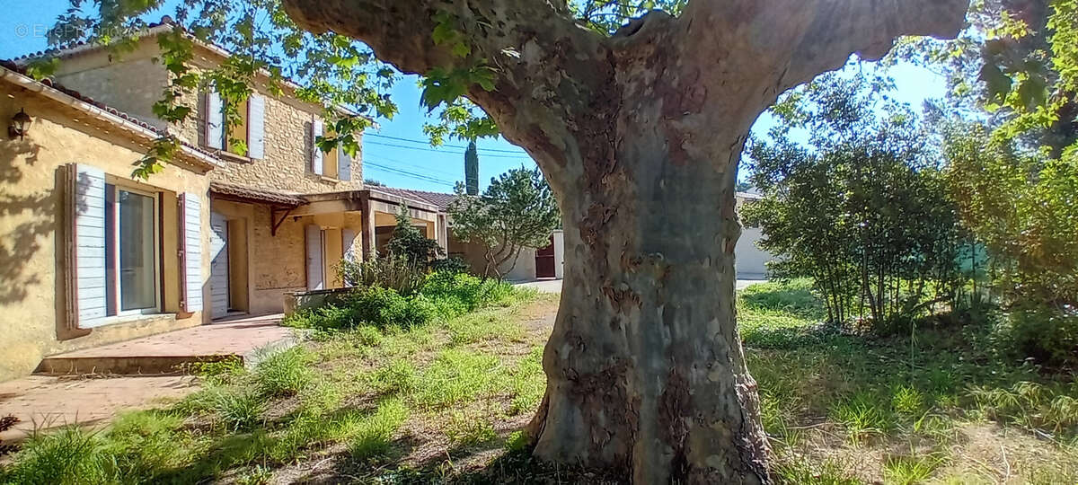 Maison à L'ISLE-SUR-LA-SORGUE