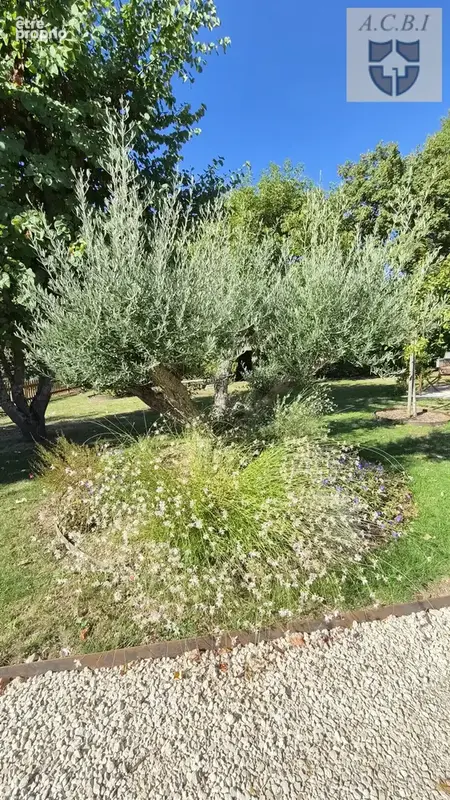 Maison de maitre secteur vendomois - photo 15