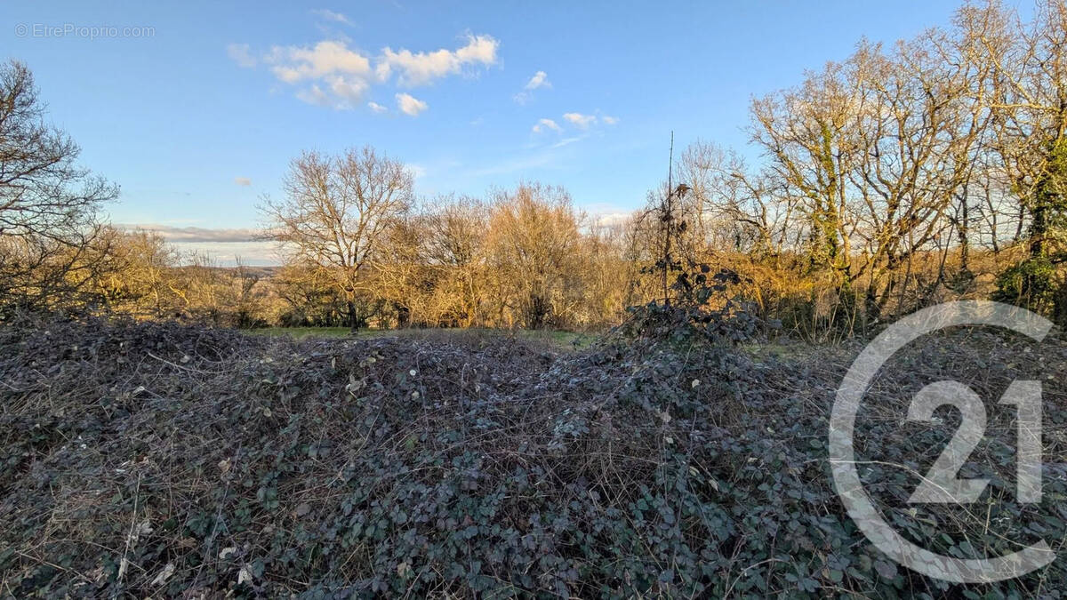 Terrain à BEAUVILLE