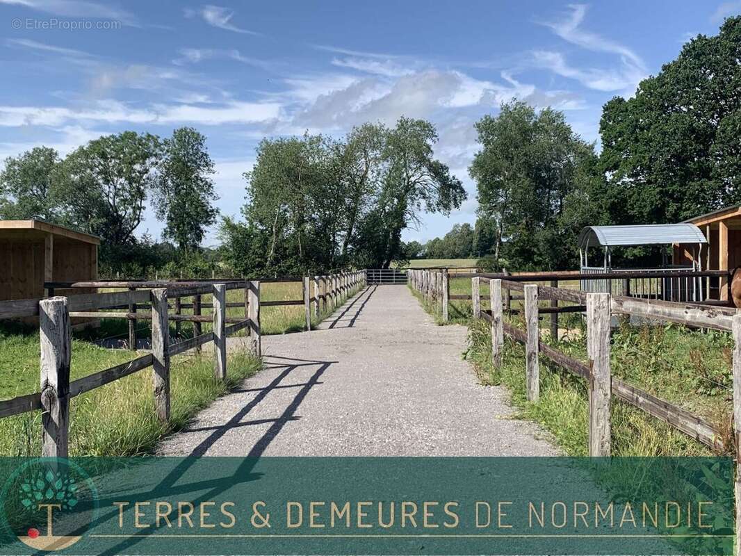 Dans le département de l'EURE, entre LIEUREY et PONT AUDEMER, A vendre en exclusivité un haras de 25 ha - photo 15