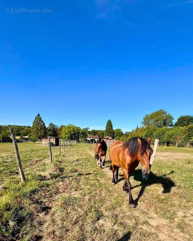 Photo 3 - Maison à MONTALIEU-VERCIEU