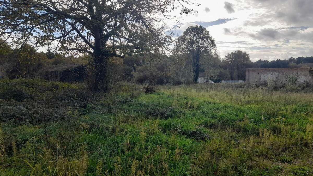 Photo 5 - Maison à CERCOUX