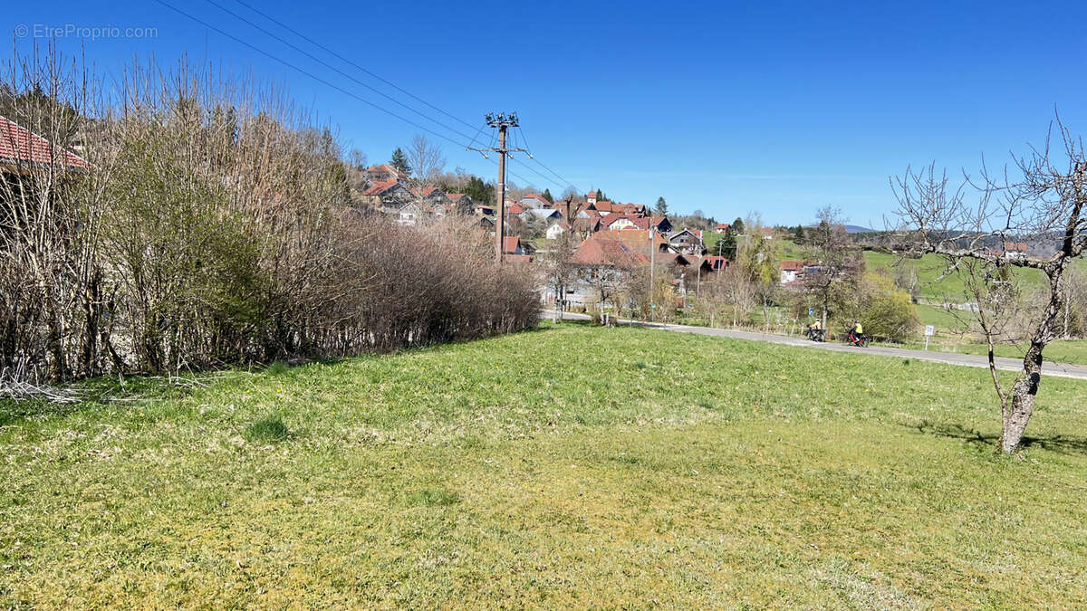 Terrain à LES GRANGETTES