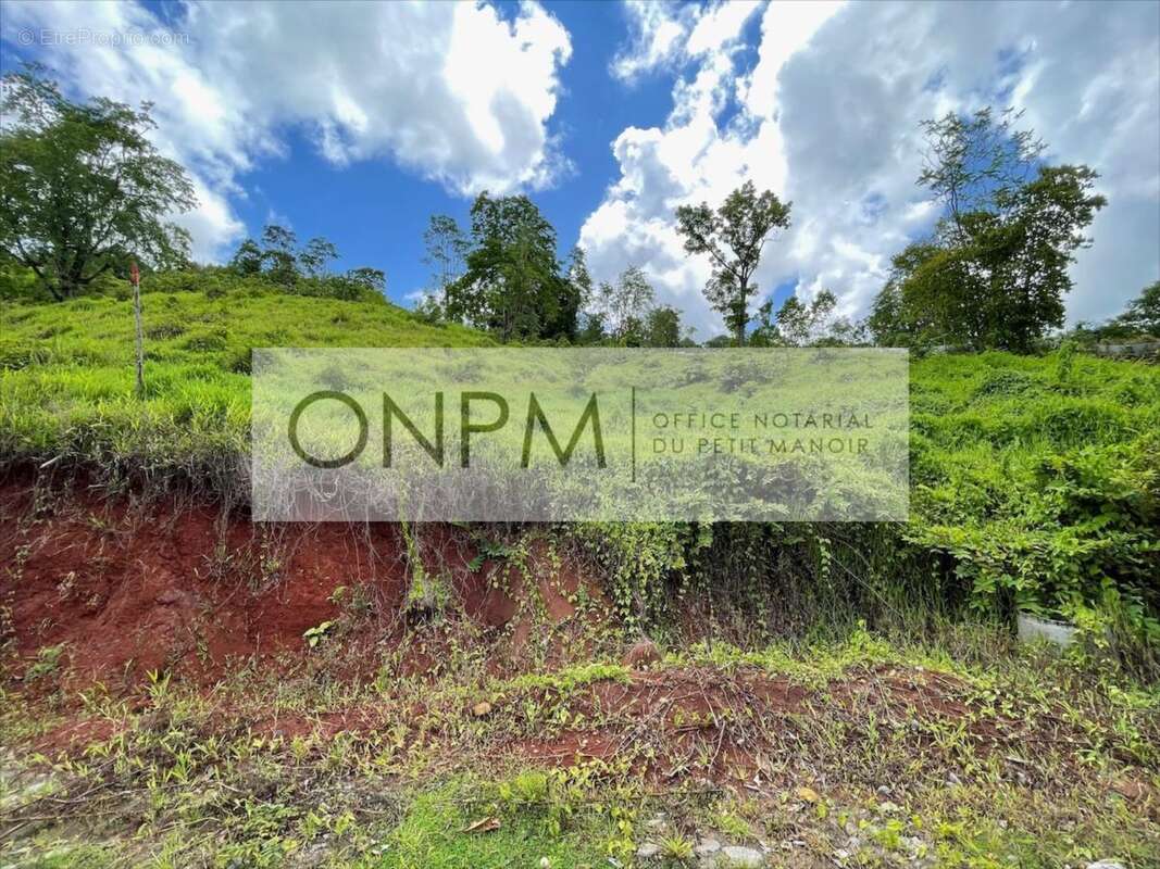 Terrain à RIVIERE-SALEE