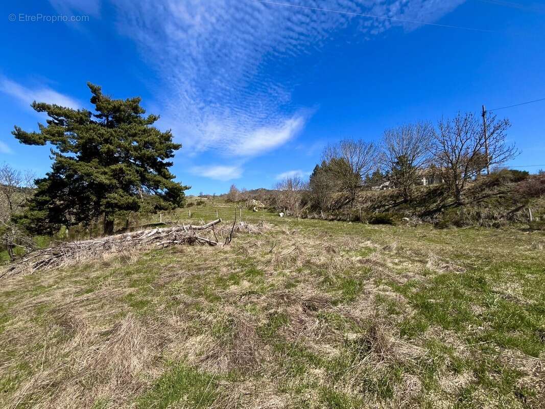 Terrain à RIEUTORT-DE-RANDON