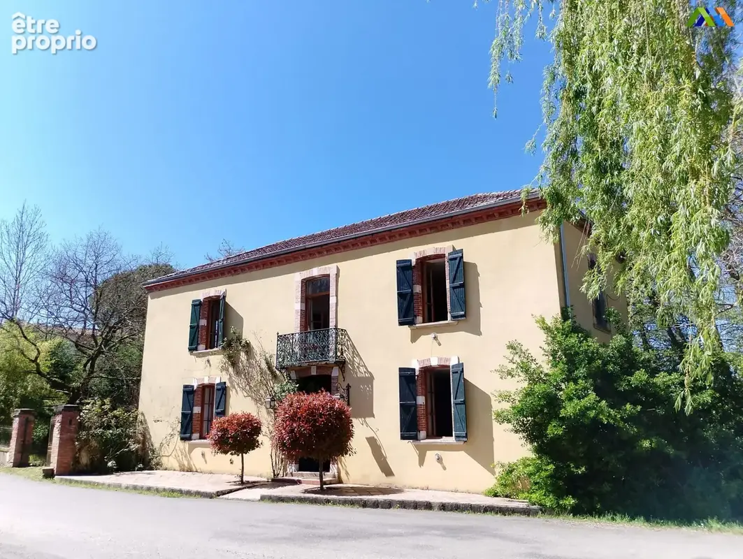 Maison de Maître de caractère au coeur du Sud-Ouest de la France. - Maison à L'ISLE-EN-DODON