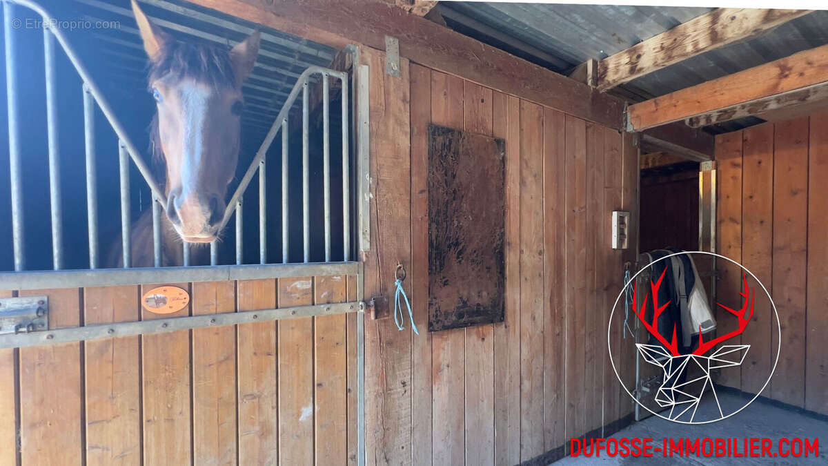 Maison à SAINT-REMY-DE-PROVENCE