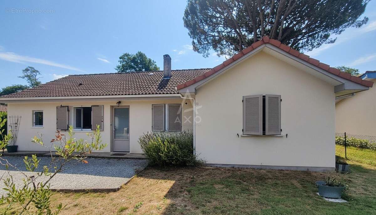 Maison rénovée de 97m2 de plain-pied avec grand terrain arboré à LABRIT - photo 2
