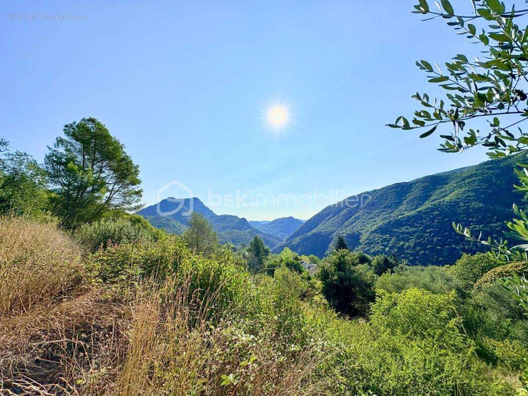 Terrain à PIERREFEU