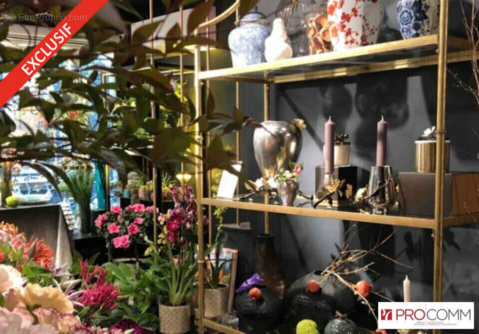 Commerce à SAINT-LEU