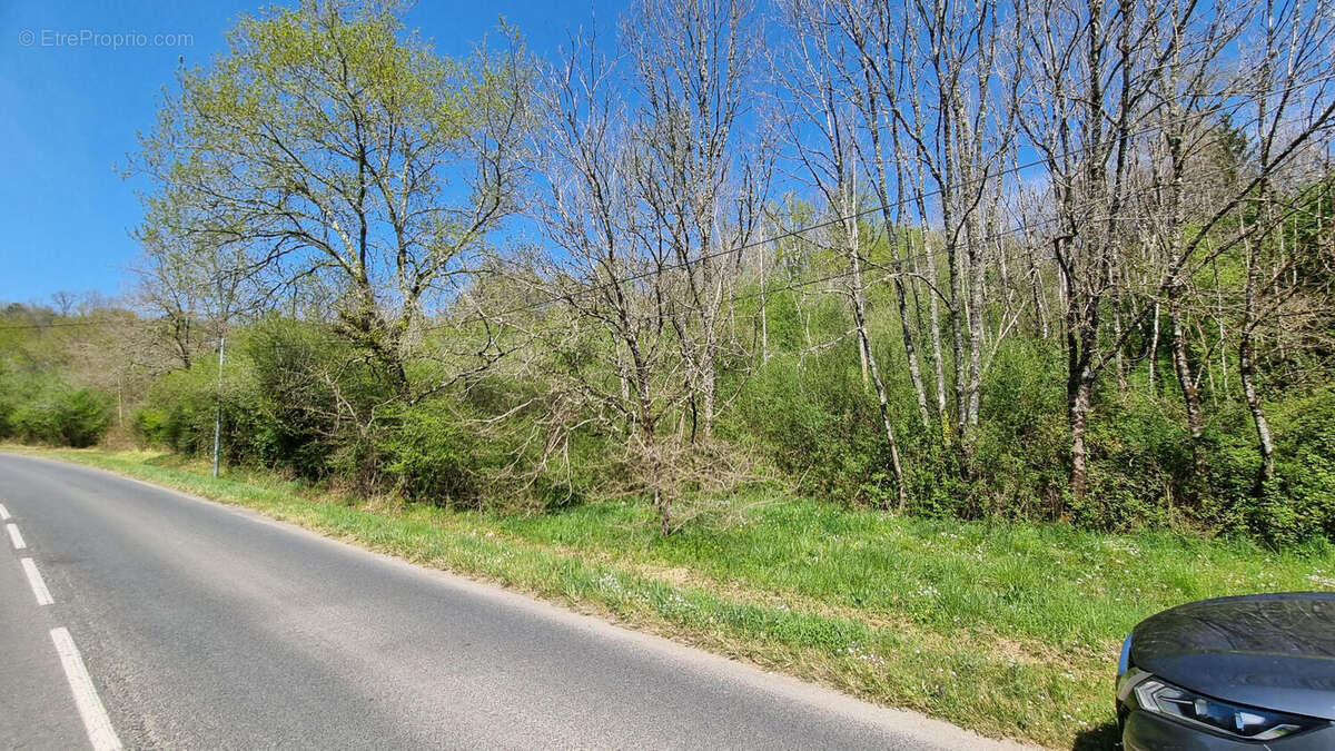 20250411_140815 - Terrain à SAINT-MARTIAL-DE-VALETTE