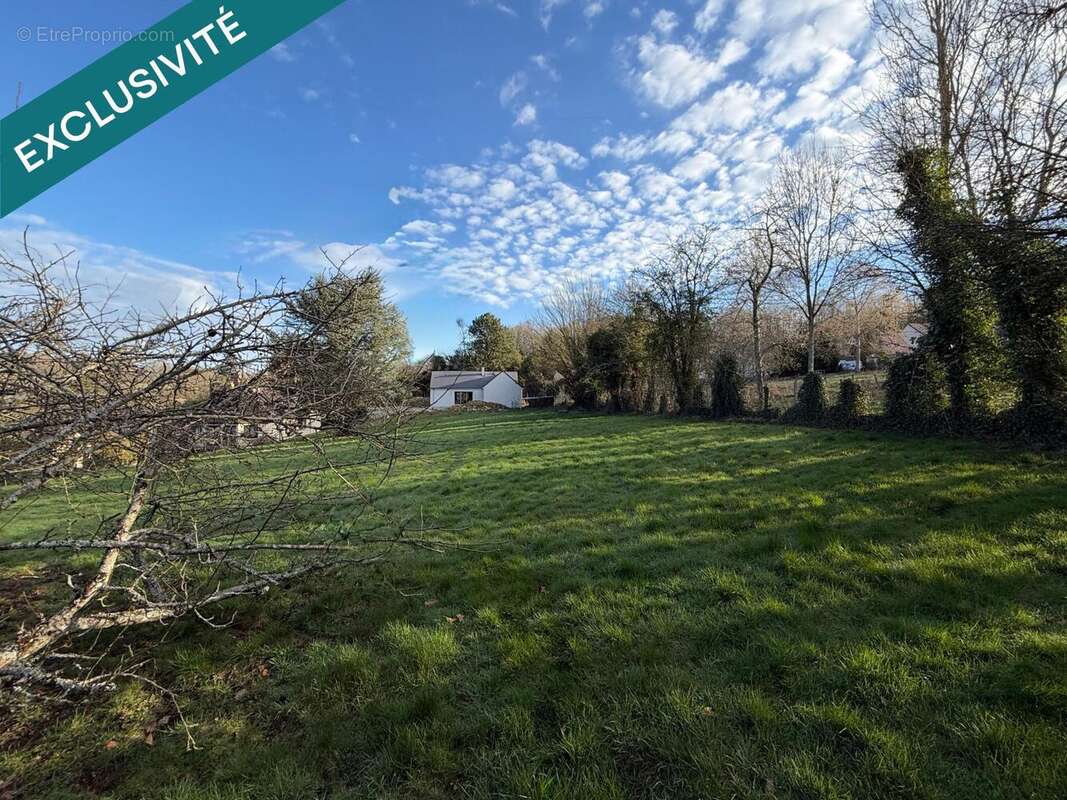 Photo 8 - Maison à MONTREUIL-AUX-LIONS