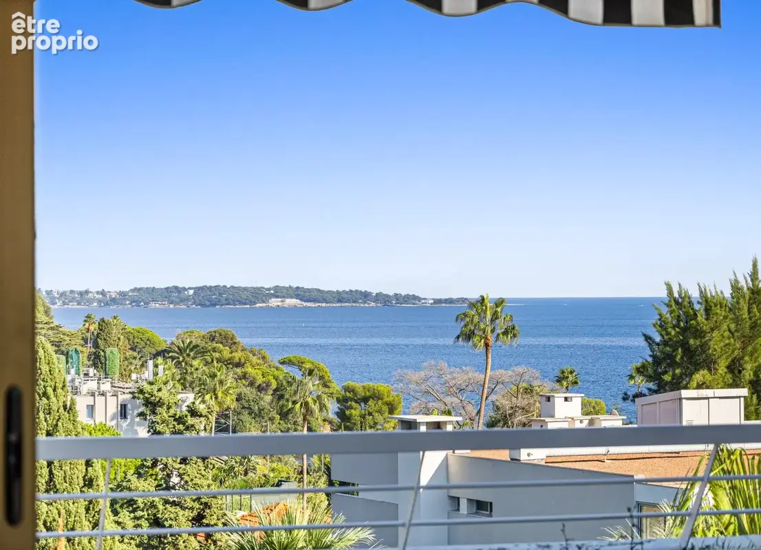 Cannes basse californie - photo 19
