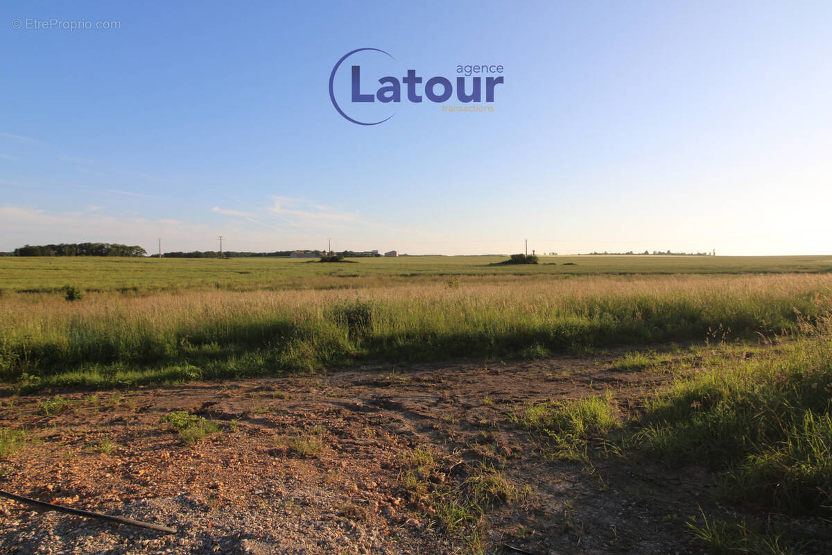 Terrain à CRECY-COUVE
