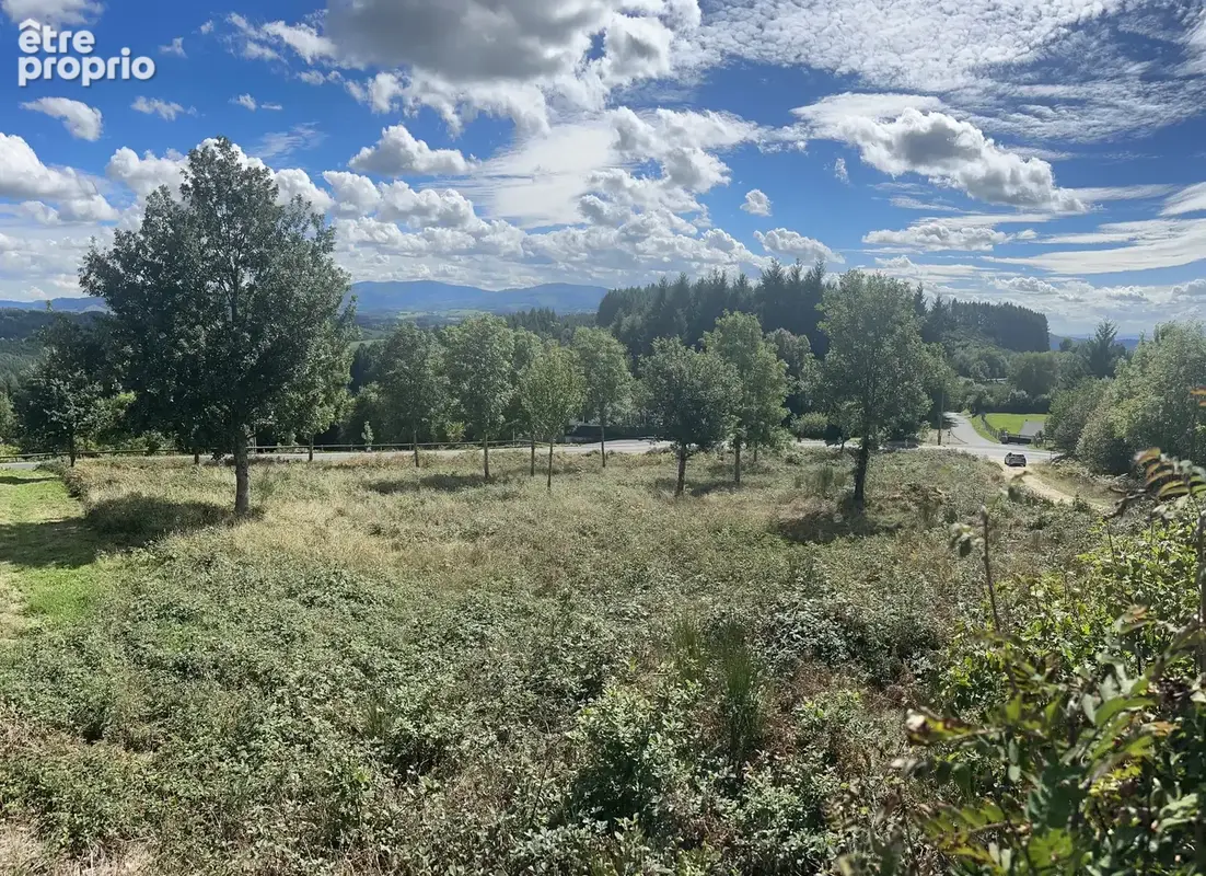 Terrain à PALLADUC