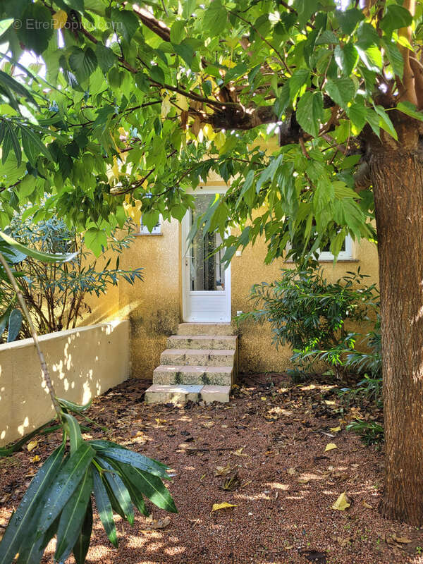 Maison à PORTO-VECCHIO