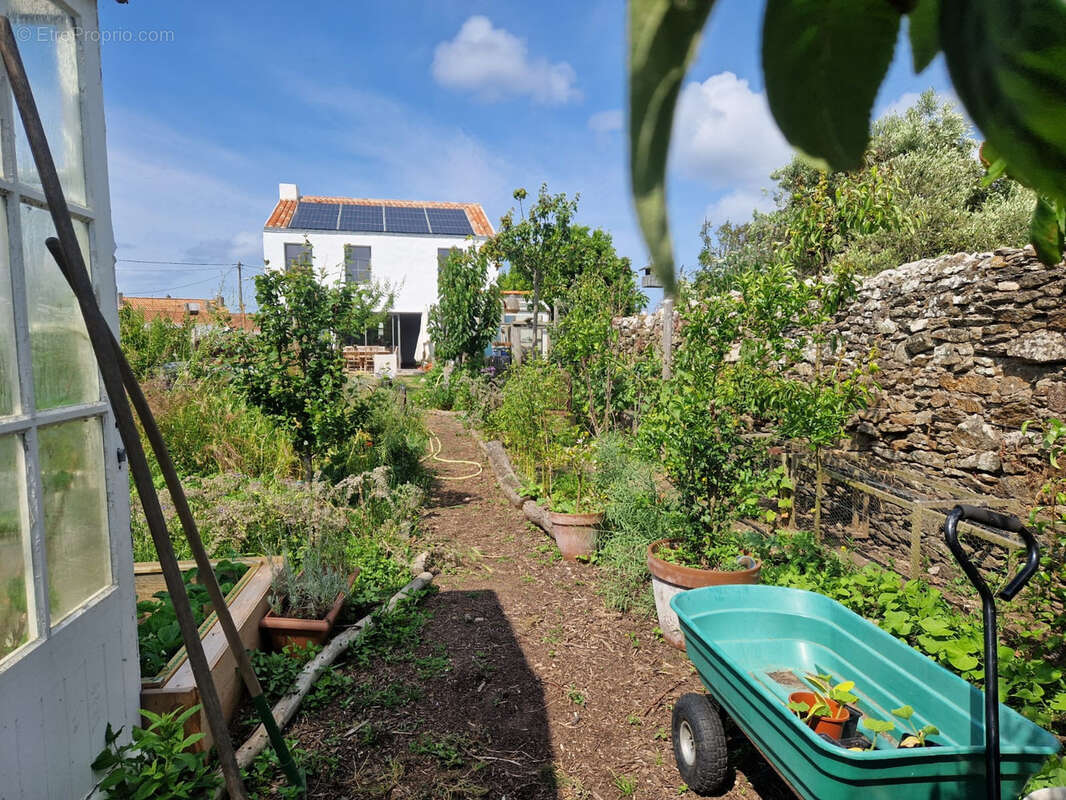 Maison à L&#039;ILE-D&#039;YEU