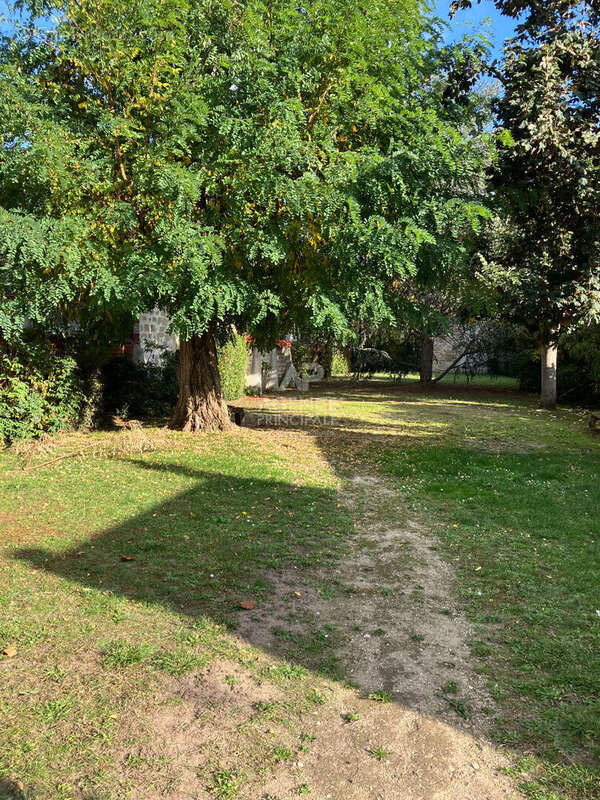 Appartement à MAISONS-LAFFITTE