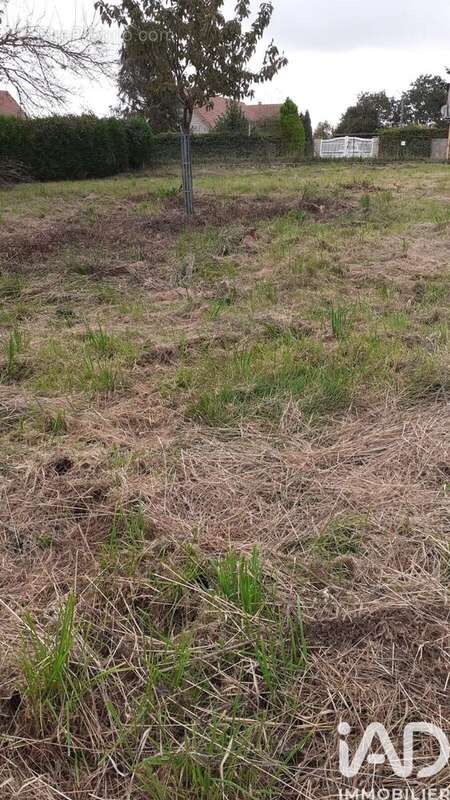 Photo 2 - Terrain à AILLY