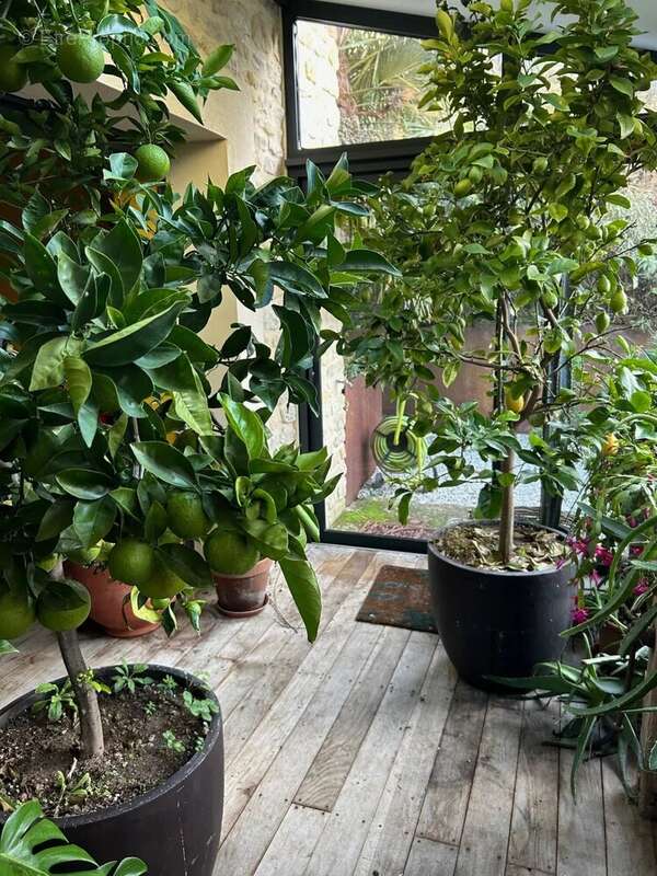 Maison contemporaine - photo 15