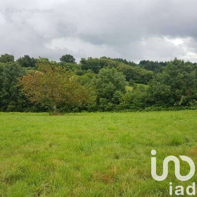 Photo 2 - Terrain à BEAUMONT