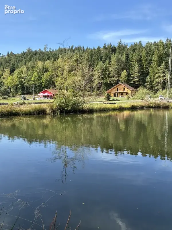 Etangs, Chalets : Domaine de 3 ha avec 3 étangs vidangeables - photo 10