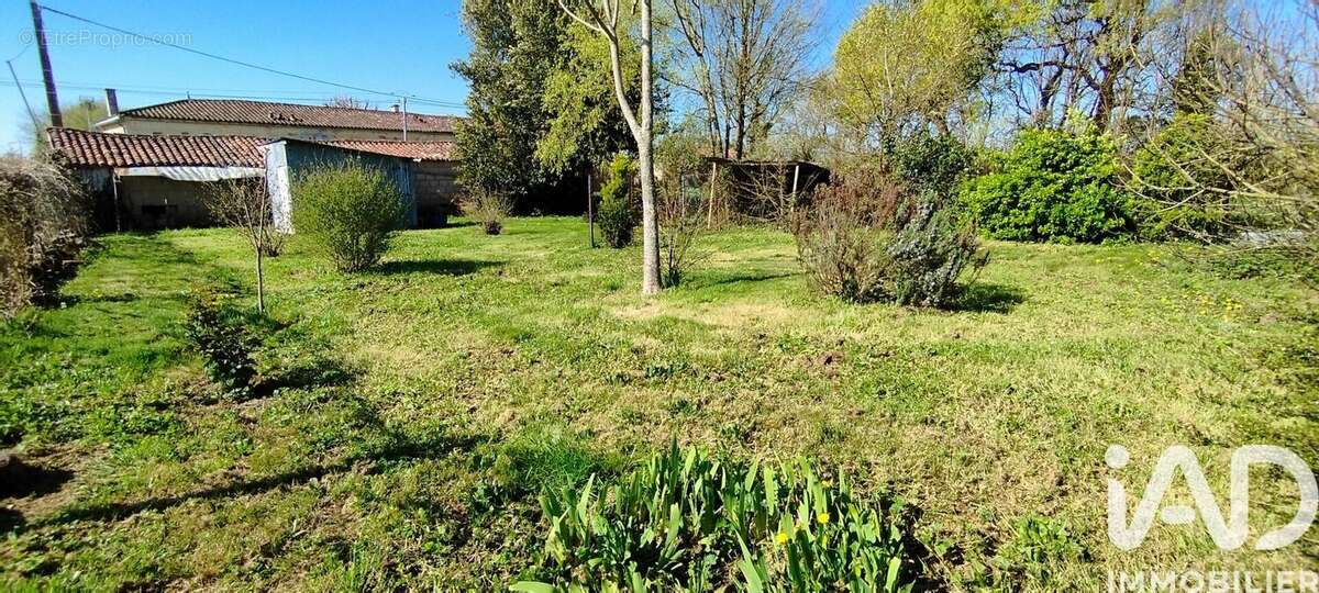 Photo 7 - Terrain à NERE