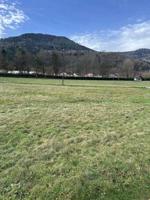 IMG_7708 - Terrain à SAULXURES-SUR-MOSELOTTE