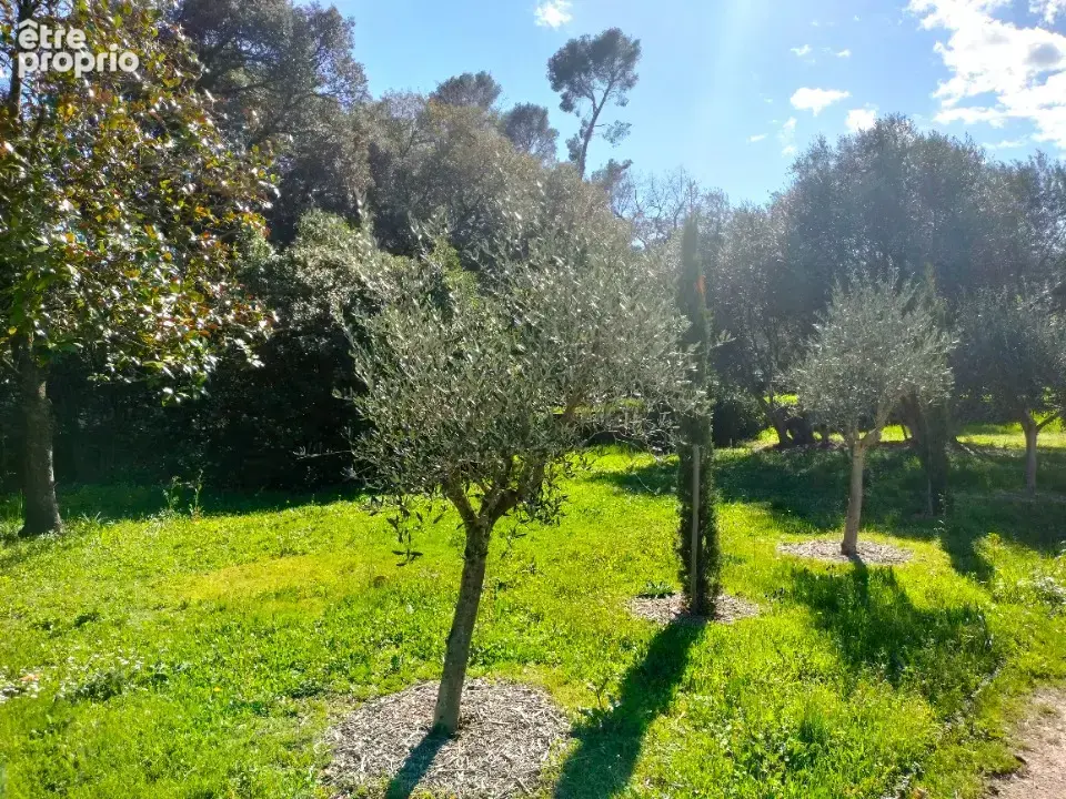 Terrain 1000 m² à Draguignan  - photo 6