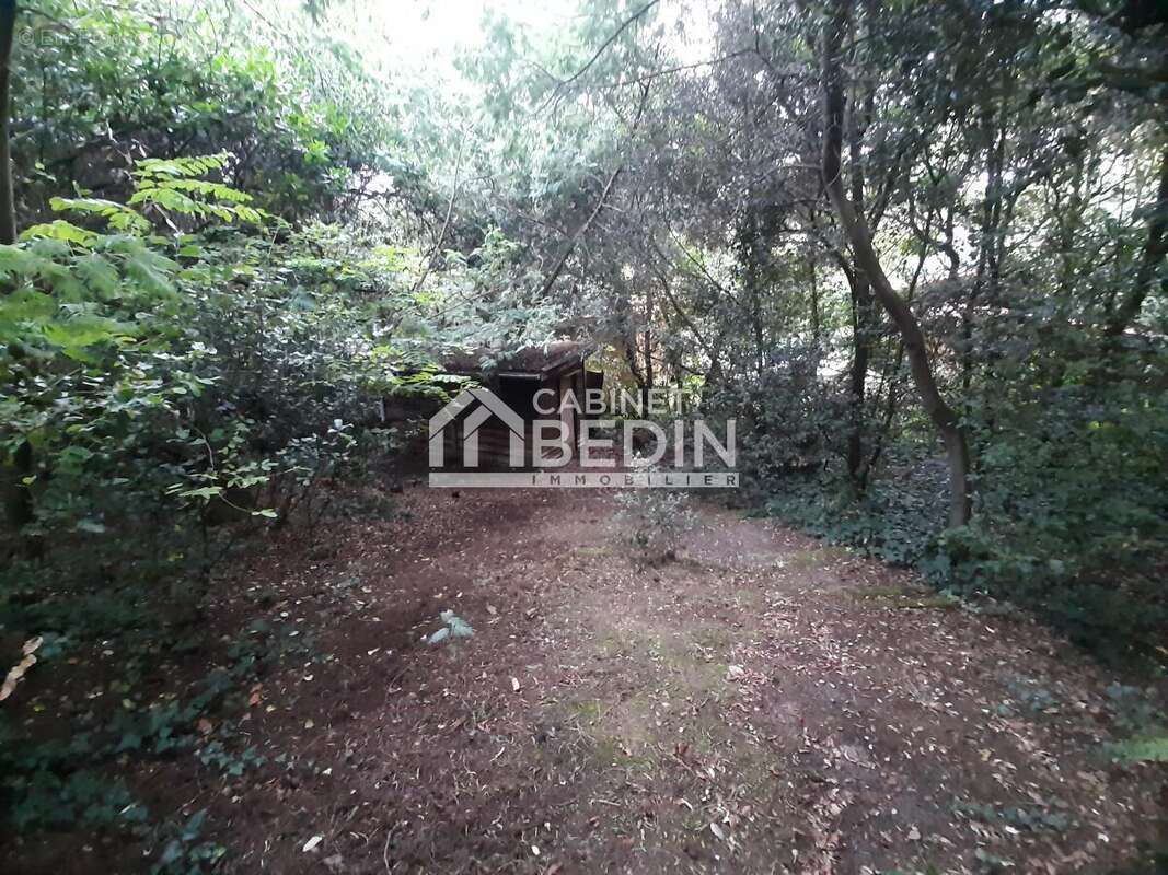 Maison à LEGE-CAP-FERRET