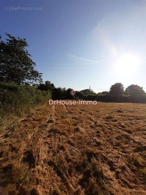 Terrain à BEAUMONT-LE-ROGER