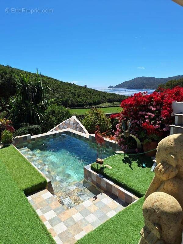 Photo Maison à Hyeres au prix de 810 000€