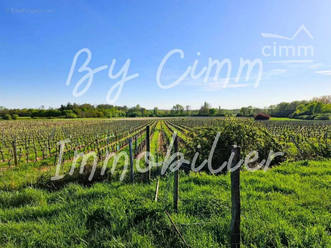 Maison à BRAUD-ET-SAINT-LOUIS