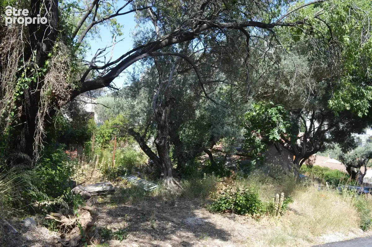 Toulon 4 chemin des routes / chemin de pelvoux Terrain constructible de 722 m2 zone UE emprise 20 % - photo 3